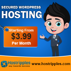 Secured Wordpress Hosting