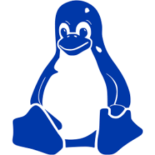 Linux VPS Cloud RAM